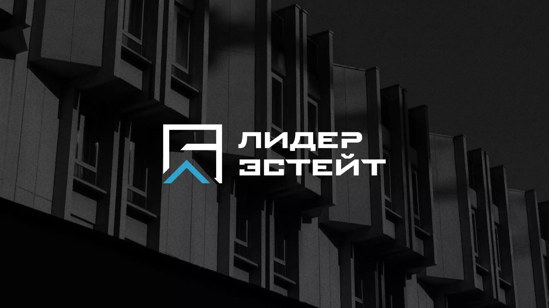 Разработка логотипа агентства недвижимости «Лидер Эстейт» в Сосновоборске